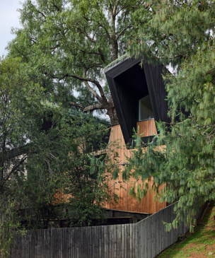 Необычный дом c деревом посередине в Австралии