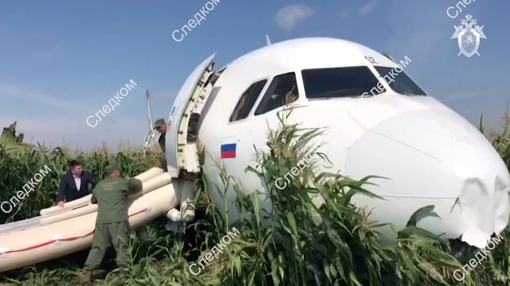 После аварии пострадал лишь кусочек кукурузного поля