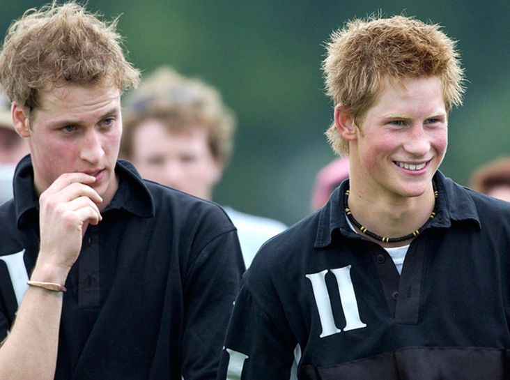 Уильям и Гарри, 2002 год