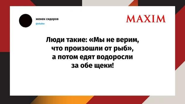 Шутки пятницы и Инвестор Сталлоне