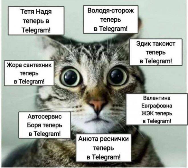 Лучшие шутки и мемы про неожиданные контакты теперь в Telegram