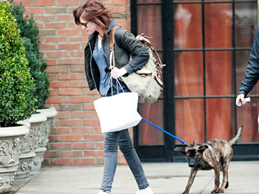 Кристен Стюарт (Kristen Stewart) взяла на себя заботу о собаке Роберта Паттинсона