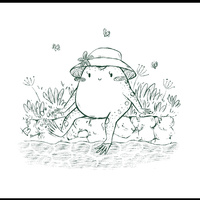 Аватарка Автор