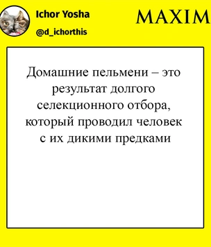 Шутки понедельника и такси по блату