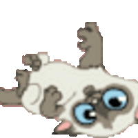 Аватарка iov88voi