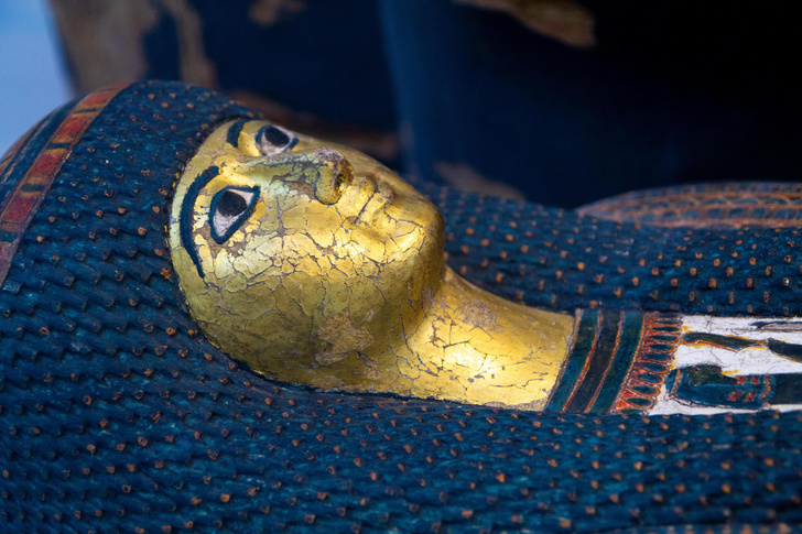 Избавляются от скелета в шкафу: голову египетской мумии возрастом 2800 лет продают на аукционе
