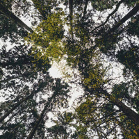 Аватарка Agata7878