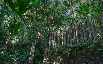 Зов джунглей: представляем майский номер «Вокруг света»