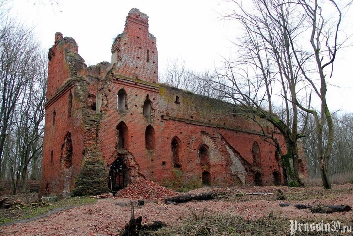 800-летние руины: древний рыцарский замок под Калининградом начал принимать туристов