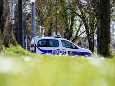 Во Франции обезумевший сириец-мигрант ранил ножом шестерых детей, гуляющих в парке