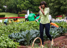 Мишель Обаме не хватает денег на огород