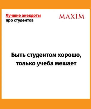 Лучшие анекдоты про студентов