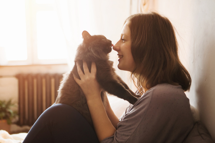Токсиколог Кутушов рассказал, почему жить вместе с кошкой может быть смертельно опасно