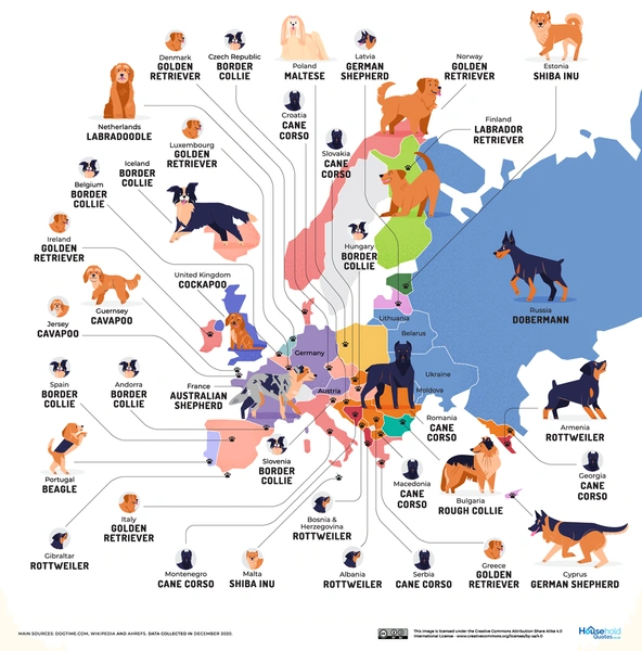 Карта: Самые популярные породы собак в каждой стране мира