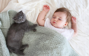 Котики, которые обожают младенцев: 40 фото, которые умилят вас до глубины души
