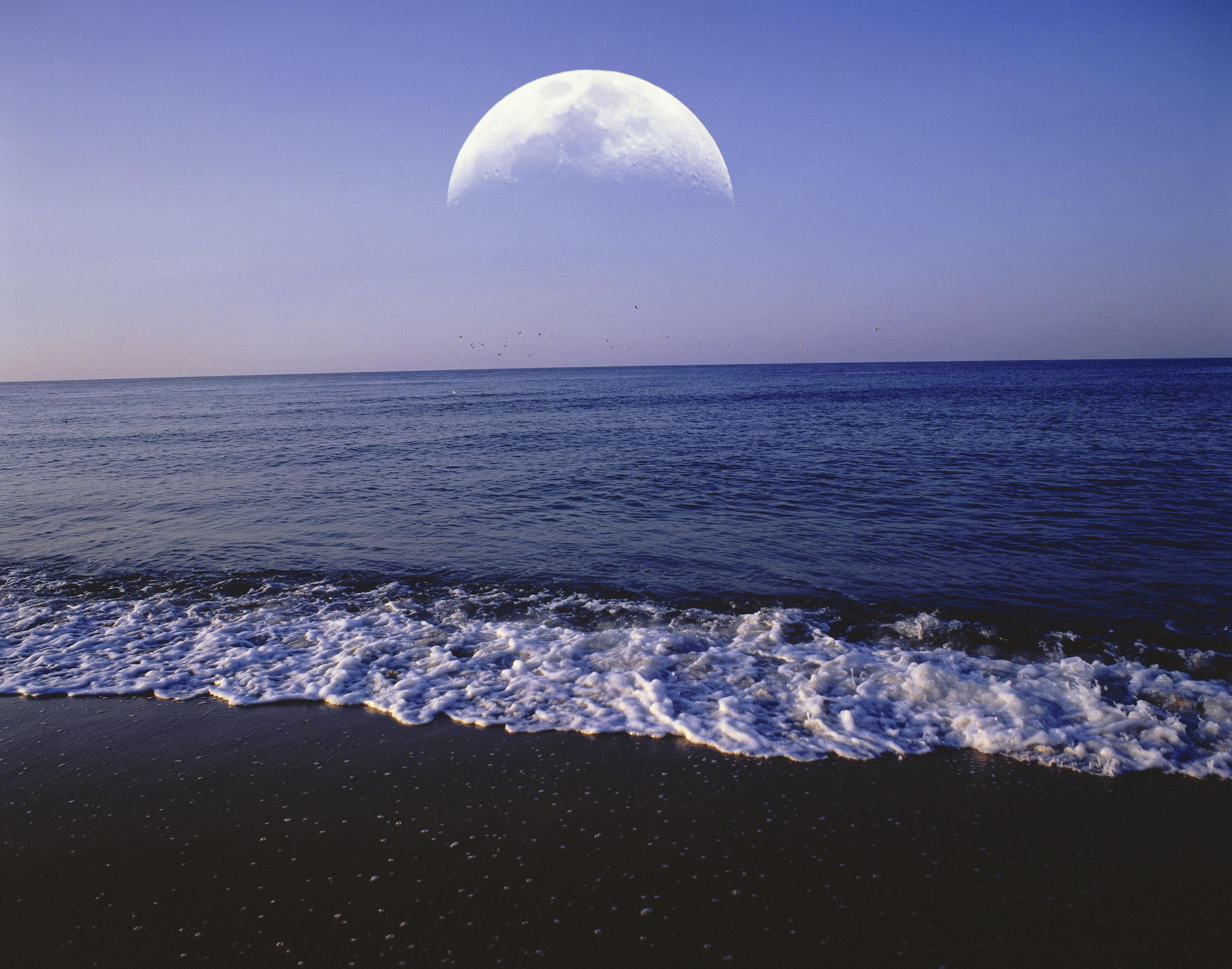 Почему приливы ночью. Луна создаёт волны. Приливы. Солнце вызывает приливы. Анимация приливов и отливов из-за Луны.
