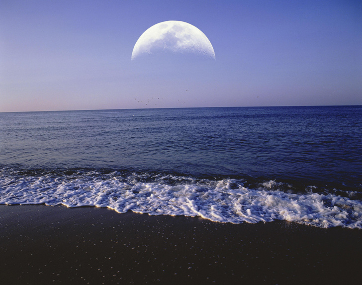 Почему приливы и отливы случаются дважды в сутки, хотя Луна одна?