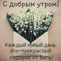 Аватарка Alia