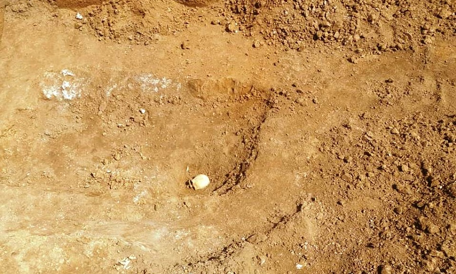 На юге России найдены артефакты возрастом 4000 лет