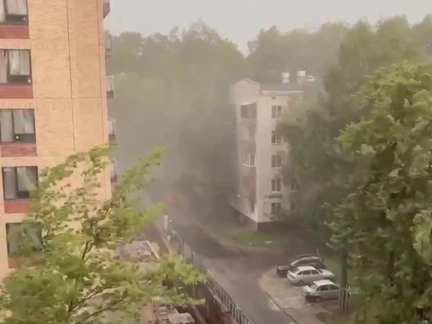 В Москве бушует сильный ураган: один человек погиб, а грудничка придавило дерево
