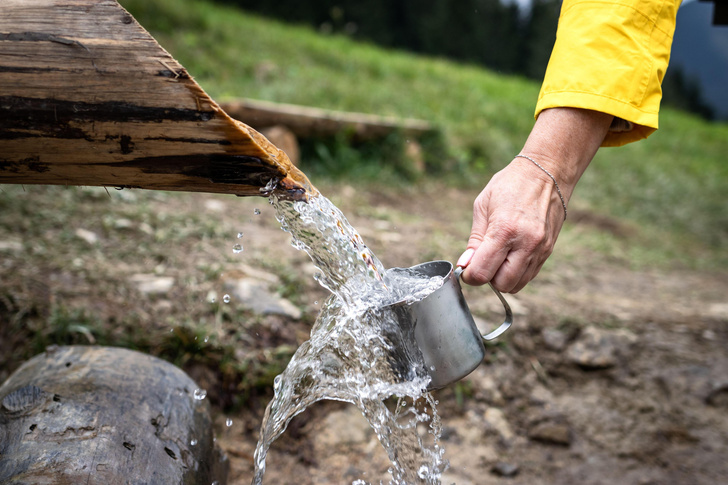 Подножный корм: как найти воду и пропитание в походе