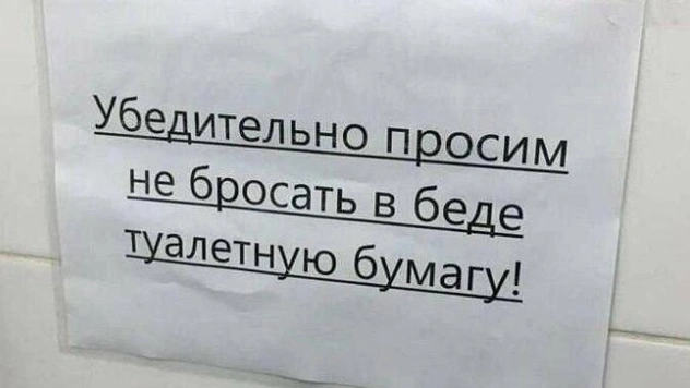 23 картинки недели и защита кур совой