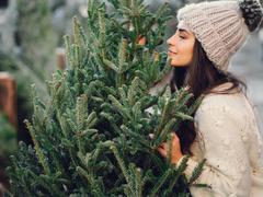 Пушистые иголки, упругие ветки и хвойный аромат — на что обратить внимание при выборе новогодней ели
