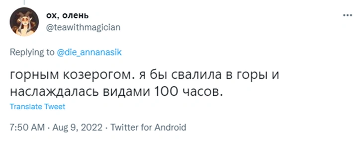 «Хочу быть пандой»: образ жизни каких животных нам кажется привлекательным