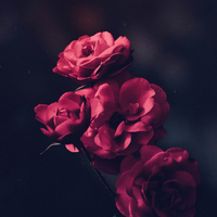 Аватарка Оливия 