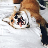 Аватарка Tati_Bal