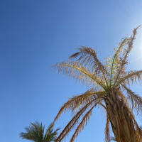 Аватарка Любовь