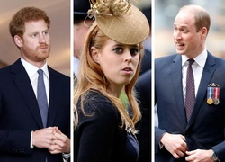 Меган «обокрала» Беатрис, а Гарри «в брачной ловушке»: 5 новых (и очень странных) слухов о Виндзорах