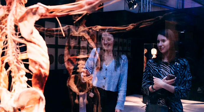 Выставка BODY WORLDS: небывалый ажиотаж и положительные отзывы посетителей