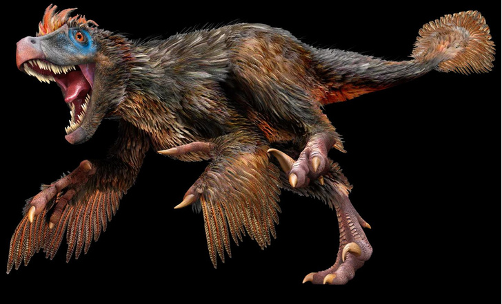 По последним данным многие динозавры были теплокровными и имели перья