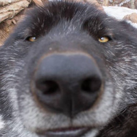 Аватарка ВЙНТ