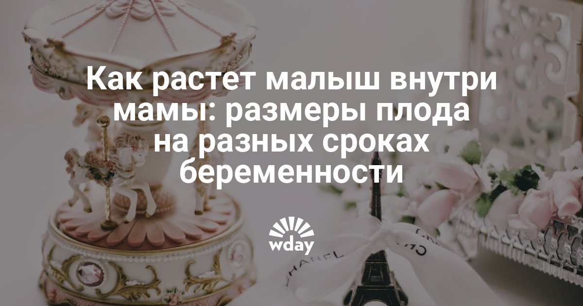 важные периоды беременности