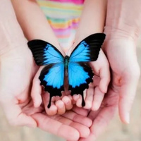 Аватарка СВЕТЛАНА