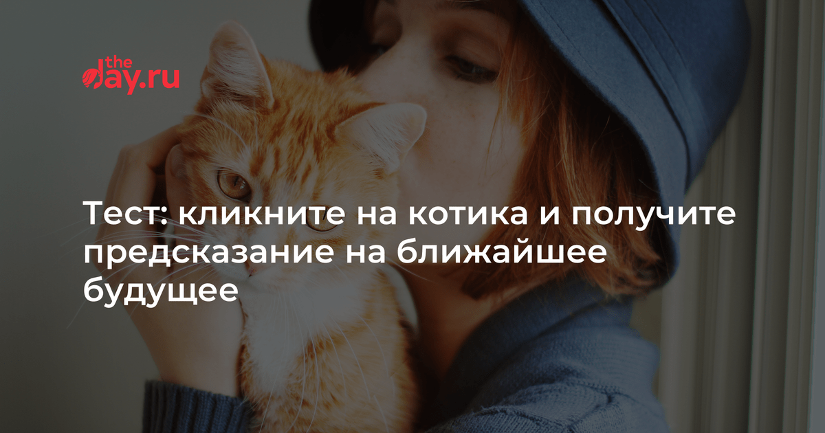 Выбери кота