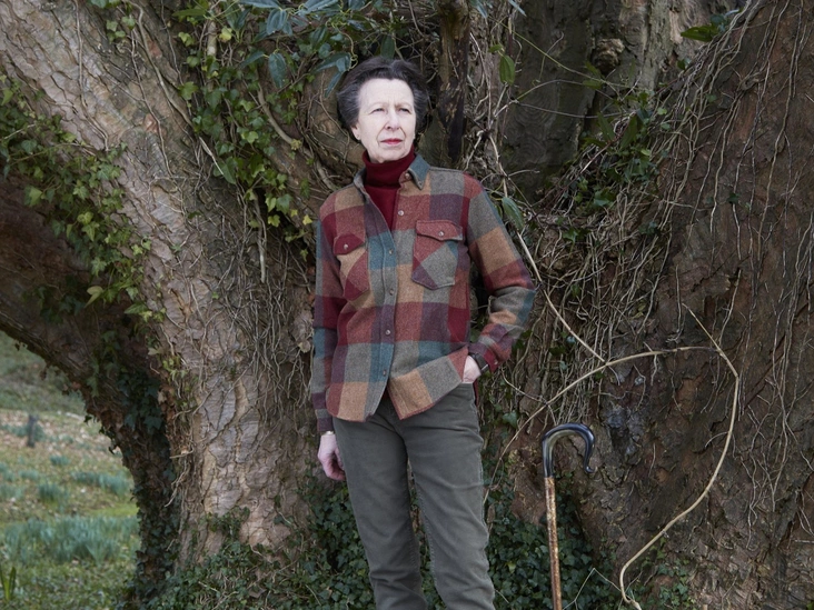 Портрет королевской принцессы, сделанный в ее резиденции Гэткомб-Парк и опубликованный в честь ее 70-летия 14 августа 2020