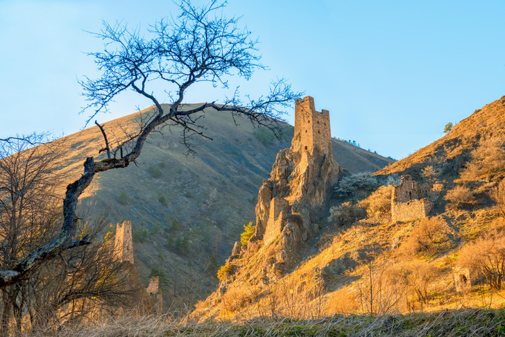 Страна гор и башен: лучший маршрут для знакомства с Ингушетией