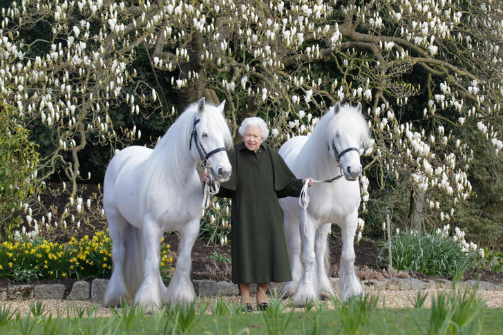 Кто заменил многочисленную родню королевы на фото в честь ее 96-летия
