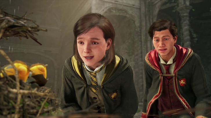 Hogwarts Legacy: игроки уверены, что в игру добавят компаньонов с искусственным интеллектом