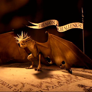 «Гарри Поттер»: самые интересные и малоизвестные факты про драконов 🐲