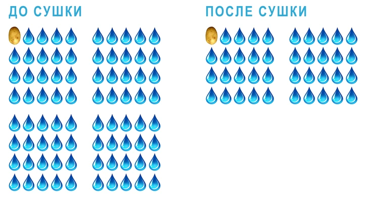 Логическая головоломка недели: парадокс картофеля