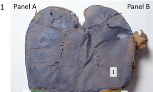Часто использовала и зашивала: найдено самое древнее в мире седло, оно принадлежало «китайской амазонке»