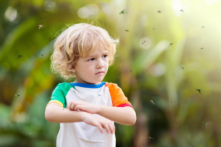 «Сыпь и бактериальный целлюлит»: педиатр Бутрий о последствиях укусов комаров у детей