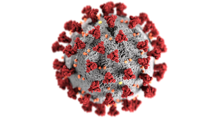 Доктор Мясников рассказал, людям с какой группой крови не стоит бояться коронавируса