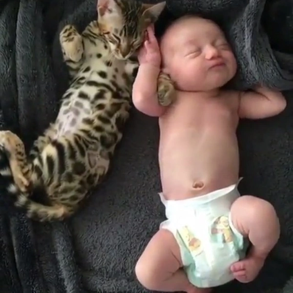 Источник: yoms_animal_lovers