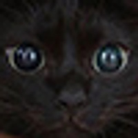 Аватарка kusen