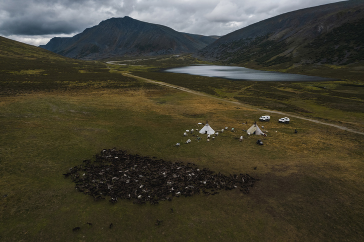 Чему стоит поучиться у северных кочевников: дневник фотографа